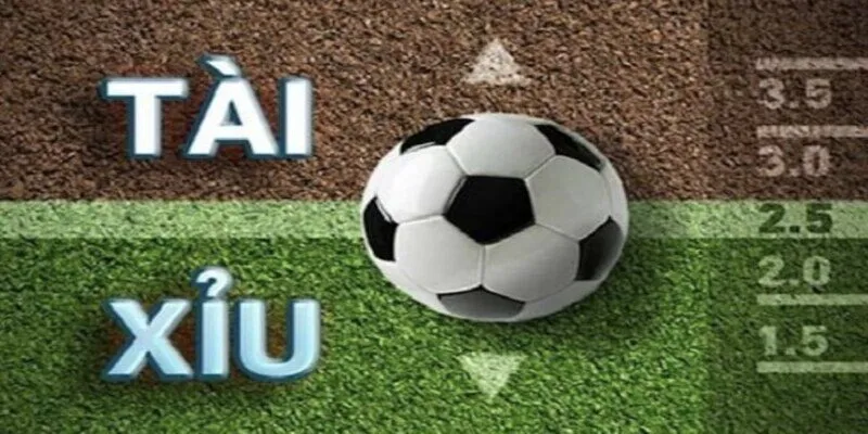 Tìm hiểu về hình thức kèo tài xỉu thể thao