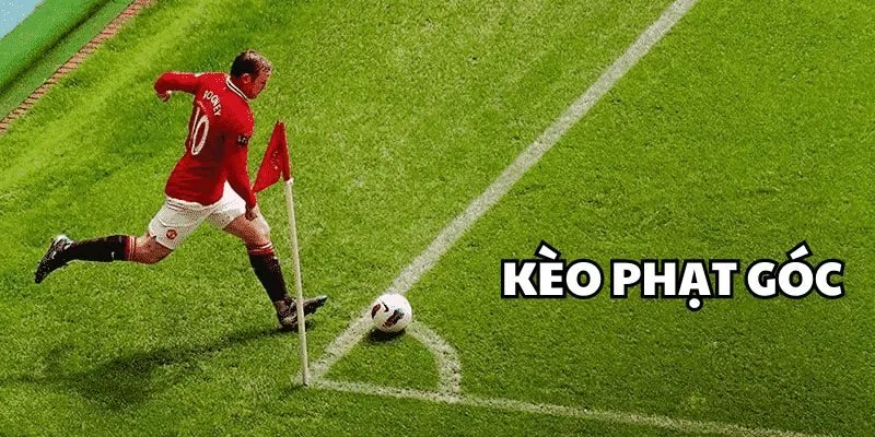 Các loại kèo phạt góc quen thuộc và phổ biến nhất trong bóng đá